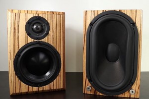 Loa cộng hưởng là gì? Phân loại, tác dụng và cách dùng loa cộng hưởng